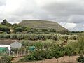 Yátova. Motrotón