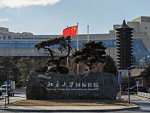 Archivo:北京大学国际医院