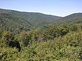 34322, Šušnjari, Croatia - panoramio (1)