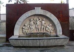 35 Font Carmen Amaya, pl. Brugada.jpg