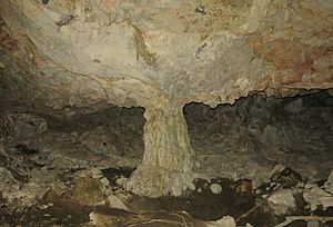 Archivo:6. Cova Negra (serra Falconera, Safor, País Valencià)