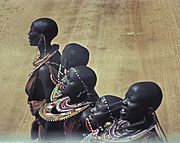 Archivo:Afrika1963-017 hg