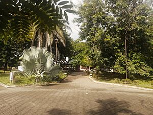 Aguazul.jpg
