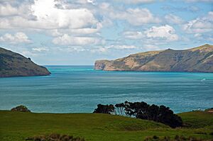Archivo:Akaroa Harbour entrance, Canterbury, New Zealand, 22nd. Nov. 2010 - Flickr - PhillipC