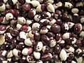 Alubia del obispo or caparron beans 2