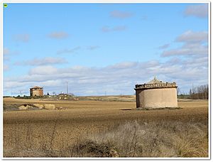 Archivo:Amayuelas de abajo 69 (Palomares)