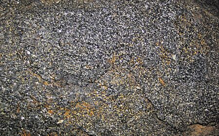Archivo:Amphibolite (Archean, 3.1-3.2 Ga; Norris South roadcut, Madison County, Montana, USA) 1 (45574881922)