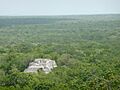Calakmul8