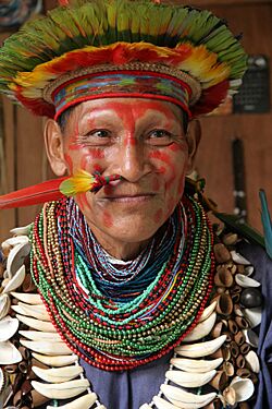 Archivo:Chaman Amazonie 5 06