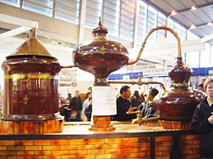 Archivo:Cognac pot still DSC04032