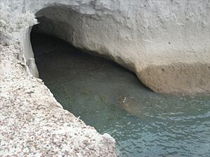 Archivo:Cueva en el cabo san jorge