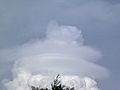 Cumulonimbus Velum cloud top