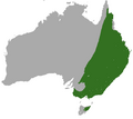 Eastern Grey Kangaroo area