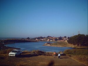 Archivo:Estero mariscadero 2