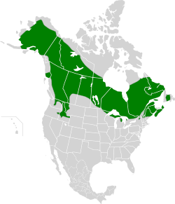 Mapa de distribución de la especie.