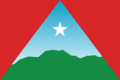 Flag of Caracas (2022)