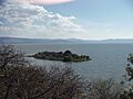 Isla adjunta a la Isla de Mezcala