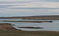 Isla de los Leones