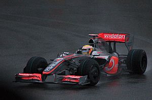 Archivo:Lewis Hamilton 2009 China 2