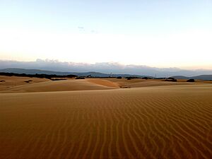 Los medanos de coro PN.jpg
