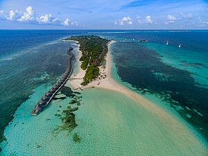 Archivo:Maledives aerial (28727082662)