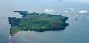 Archivo:Motiti Island, Bay of Plenty, New Zealand, 1 April 2008