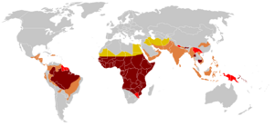 Archivo:Paludisme - Frequence statistique