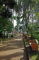 Parque Central de Atenas