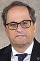 Quim Torra 2018b (cropped)