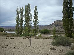 Archivo:Río Chubut curso superior