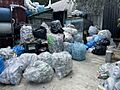 Recyclables at Sure We Can Aug 2021 2
