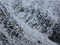 Retezat Mountain - Retezat Peak 01