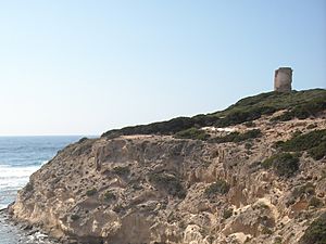 Archivo:San Vero Milis - Torre di Capo Mannu (1)