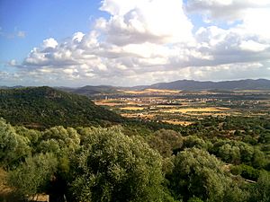 Archivo:Santadi