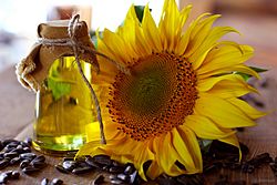 Archivo:Sunflower oil and sunflower