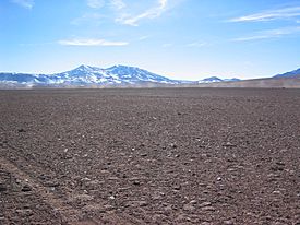 Tocorpuri Cerro La Torta Chile 173.jpg