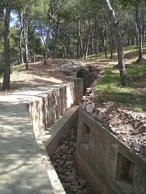 Archivo:Trench leading to tunnel