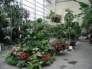 Archivo:US botanic garden 3