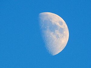 Archivo:Waxing gibbous moon (8333179152)