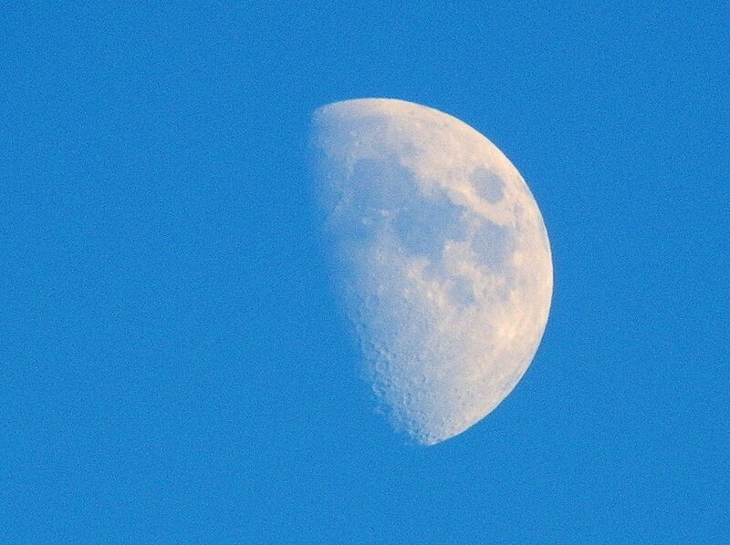 Waxing gibbous moon (8333179152)
