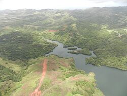 Woods at Guam No.1.JPG