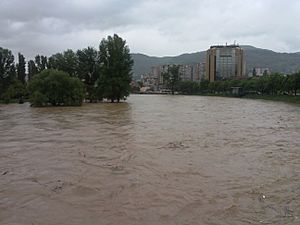 Archivo:2014 Bosnia and Herzegovina floods Kamerovica flied