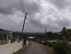 A view of a street in Río Arriba, Fajardo, Puerto Rico.jpg