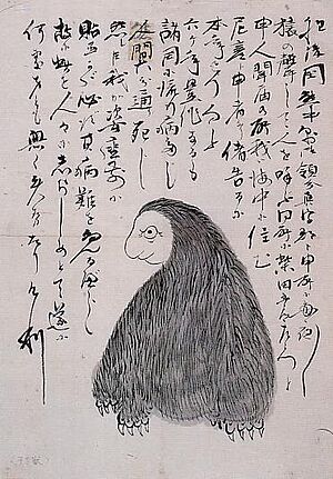 Archivo:Amabiko