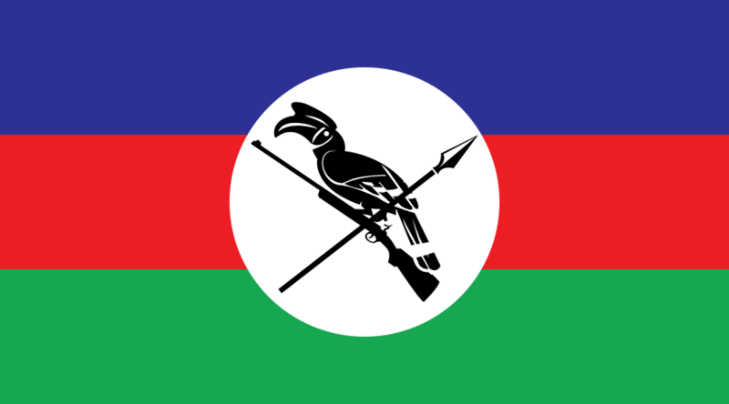 CNO-CNDF Flag