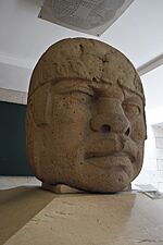 Cabeza Colosal no.5.jpg