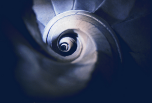 Archivo:Caracol