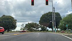 Carretera PR-115, Añasco, Puerto Rico (2).jpg