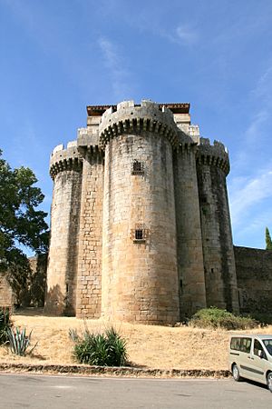 Archivo:Castillo de Granadilla (13 de agosto de 2014, Granadilla)