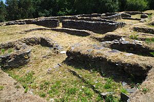 Archivo:Castro de Mohias 06 by-dpc